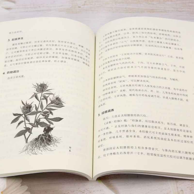 TCM Body Constitution Types Bo - огляд і ціна Health Wellness & Psychology